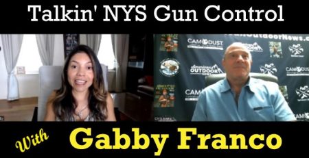 NY Gun Control